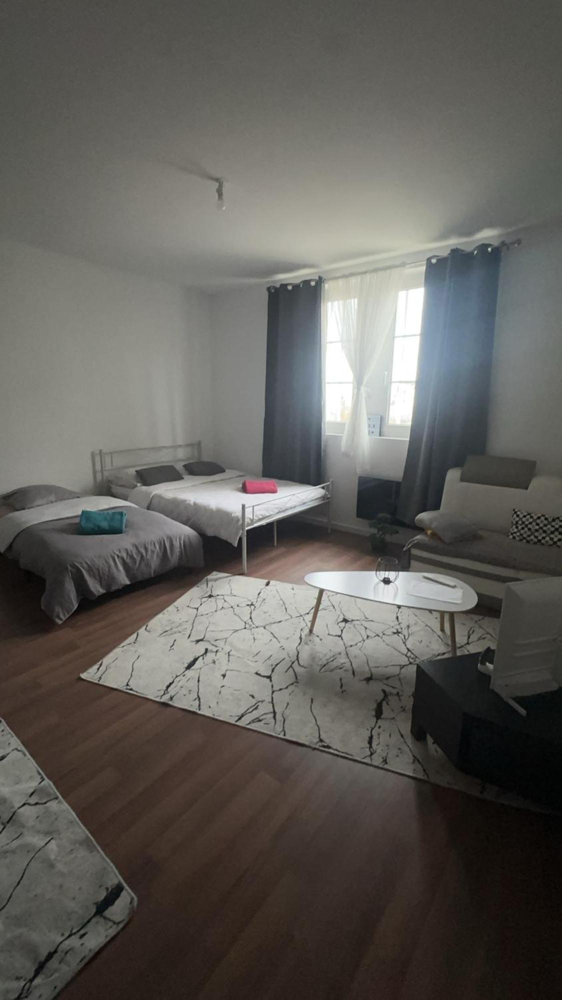 Lionceau Appartement 2 Pieces Une Chambre Et Un Grand Sejour Accueille 5 Personnes Riquewihr Extérieur photo